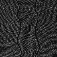 Aboriginal Artwork by Valda Napangardi Granites, Ngalyipi Jukurrpa (Snakevine Dreaming) - Mina Mina, 183x91cm