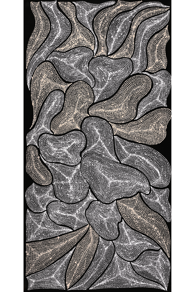 Aboriginal Artwork by Valda Napangardi Granites, Ngalyipi Jukurrpa (Snakevine Dreaming) - Mina Mina, 91x46cm