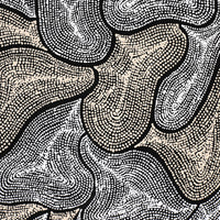 Aboriginal Artwork by Valda Napangardi Granites, Ngalyipi Jukurrpa (Snakevine Dreaming) - Mina Mina, 91x46cm
