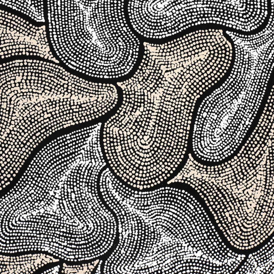 Aboriginal Artwork by Valda Napangardi Granites, Ngalyipi Jukurrpa (Snakevine Dreaming) - Mina Mina, 91x46cm