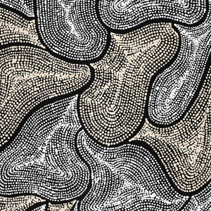 Aboriginal Art by Valda Napangardi Granites, Ngalyipi Jukurrpa (Snakevine Dreaming) - Mina Mina, 91x46cm - ART ARK®