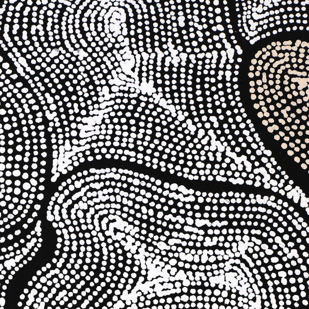Aboriginal Artwork by Valda Napangardi Granites, Ngalyipi Jukurrpa (Snakevine Dreaming) - Mina Mina, 91x46cm