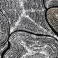 Aboriginal Artwork by Valda Napangardi Granites, Ngalyipi Jukurrpa (Snakevine Dreaming) - Mina Mina, 91x46cm