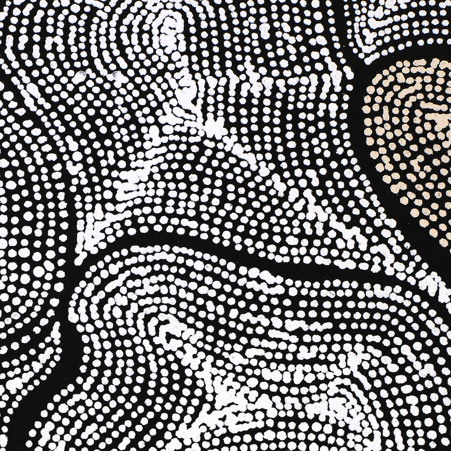 Aboriginal Artwork by Valda Napangardi Granites, Ngalyipi Jukurrpa (Snakevine Dreaming) - Mina Mina, 91x46cm