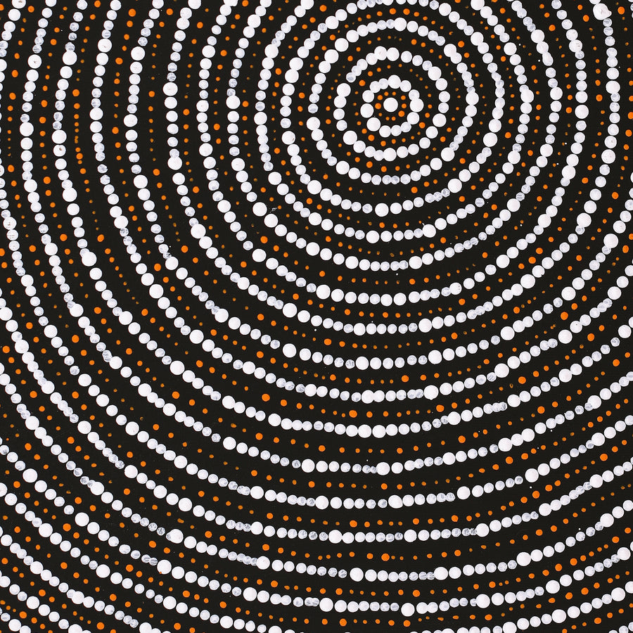 Aboriginal Artwork by Valma Nakamarra White, Warna Jukurrpa (Snake Dreaming), 50x40cm