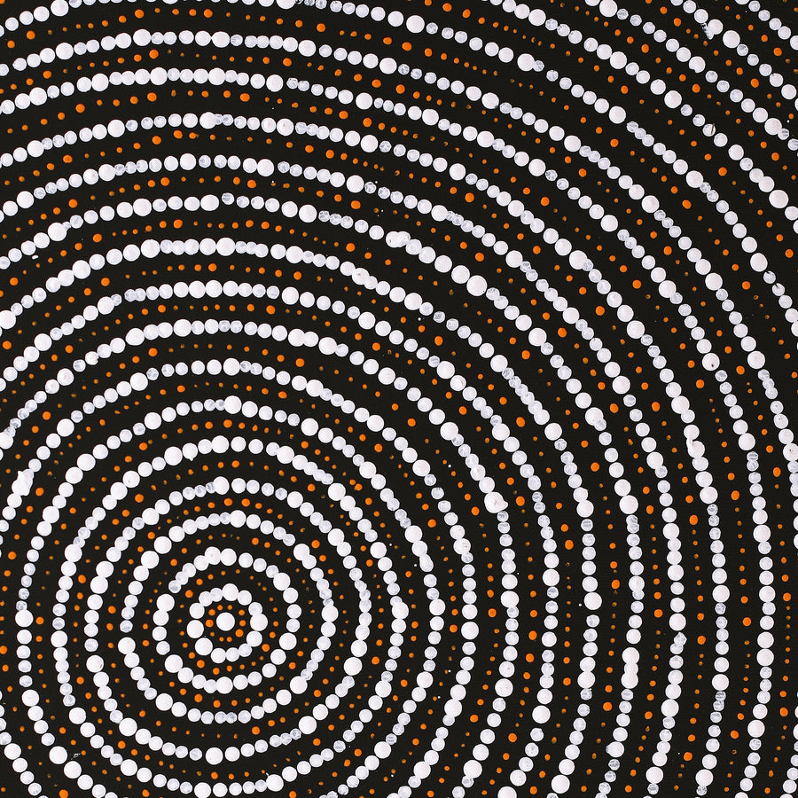 Aboriginal Artwork by Valma Nakamarra White, Warna Jukurrpa (Snake Dreaming), 50x40cm