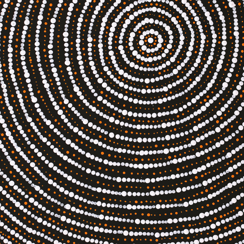 Aboriginal Artwork by Valma Nakamarra White, Warna Jukurrpa (Snake Dreaming), 50x40cm - ART ARK®