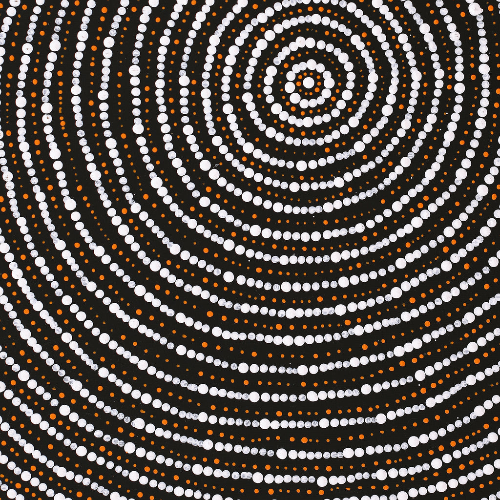 Aboriginal Art by Valma Nakamarra White, Warna Jukurrpa (Snake Dreaming), 50x40cm - ART ARK®