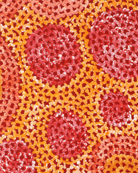 Aboriginal Artwork by Vanessa Nampijinpa Brown, Pamapardu Jukurrpa (Flying Ant Dreaming) - Warntungurru, 107x30cm