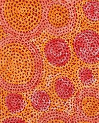 Aboriginal Artwork by Vanessa Nampijinpa Brown, Pamapardu Jukurrpa (Flying Ant Dreaming) - Warntungurru, 107x30cm