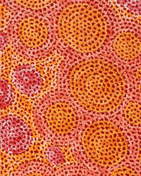 Aboriginal Artwork by Vanessa Nampijinpa Brown, Pamapardu Jukurrpa (Flying Ant Dreaming) - Warntungurru, 107x30cm