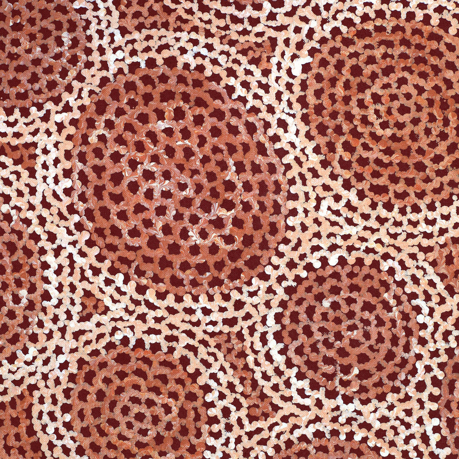 Aboriginal Artwork by Vanessa Nampijinpa Brown, Pamapardu Jukurrpa (Flying Ant Dreaming) - Warntungurru, 107x76cm