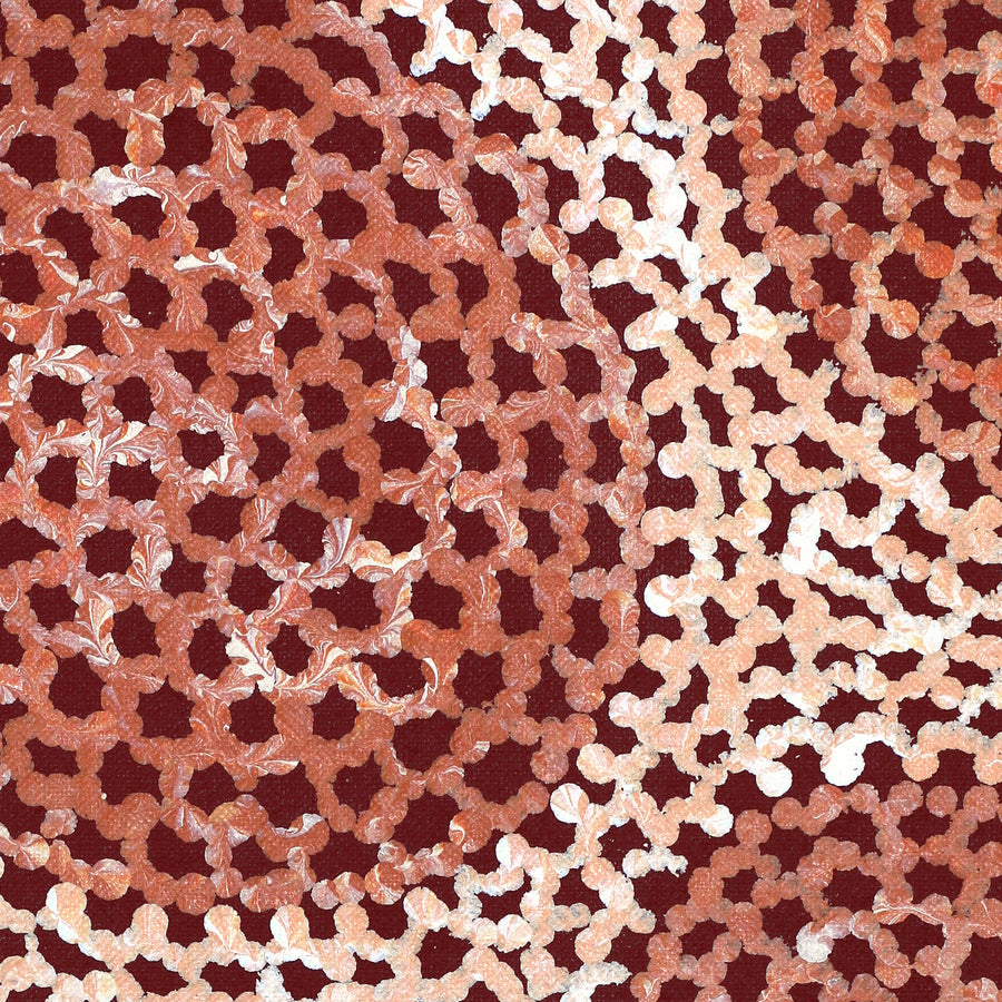 Aboriginal Artwork by Vanessa Nampijinpa Brown, Pamapardu Jukurrpa (Flying Ant Dreaming) - Warntungurru, 107x76cm