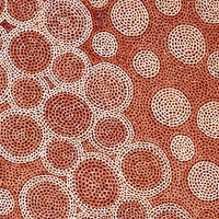 Aboriginal Artwork by Vanessa Nampijinpa Brown, Pamapardu Jukurrpa (Flying Ant Dreaming) - Warntungurru, 107x76cm