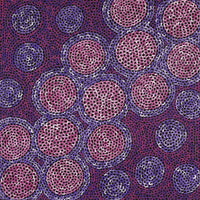 Aboriginal Artwork by Vanessa Nampijinpa Brown, Pamapardu Jukurrpa (Flying Ant Dreaming) - Warntungurru, 61x61cm