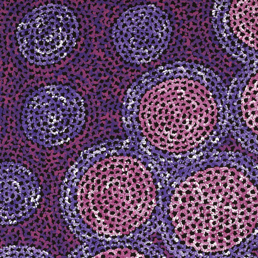 Aboriginal Artwork by Vanessa Nampijinpa Brown, Pamapardu Jukurrpa (Flying Ant Dreaming) - Warntungurru, 61x61cm