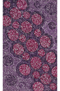 Aboriginal Artwork by Vanessa Nampijinpa Brown, Pamapardu Jukurrpa (Flying Ant Dreaming) - Warntungurru, 76x46cm