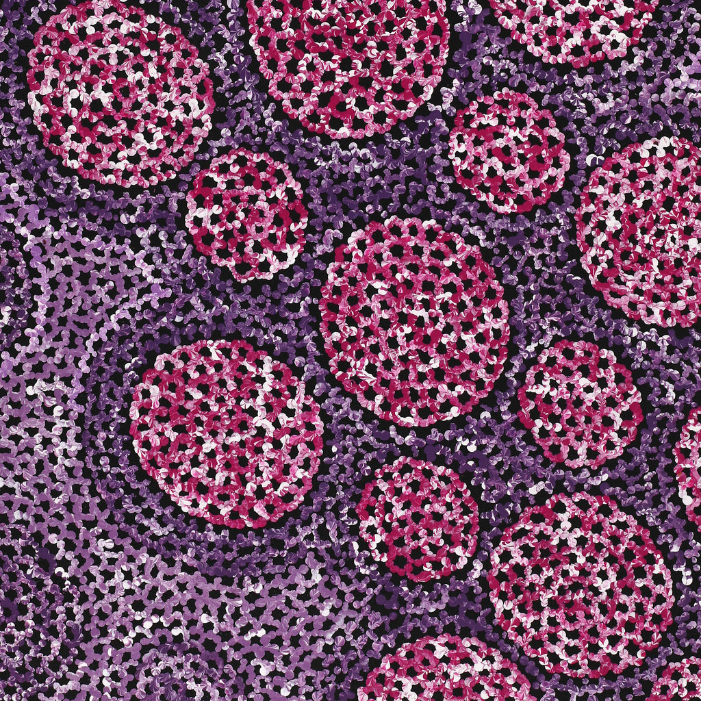 Aboriginal Artwork by Vanessa Nampijinpa Brown, Pamapardu Jukurrpa (Flying Ant Dreaming) - Warntungurru, 76x46cm
