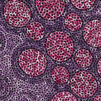 Aboriginal Artwork by Vanessa Nampijinpa Brown, Pamapardu Jukurrpa (Flying Ant Dreaming) - Warntungurru, 76x46cm
