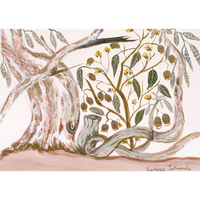 Aboriginal Artwork by Vanessa Inkamala, Gum nuts and Gum Tree, 36.6x26cm