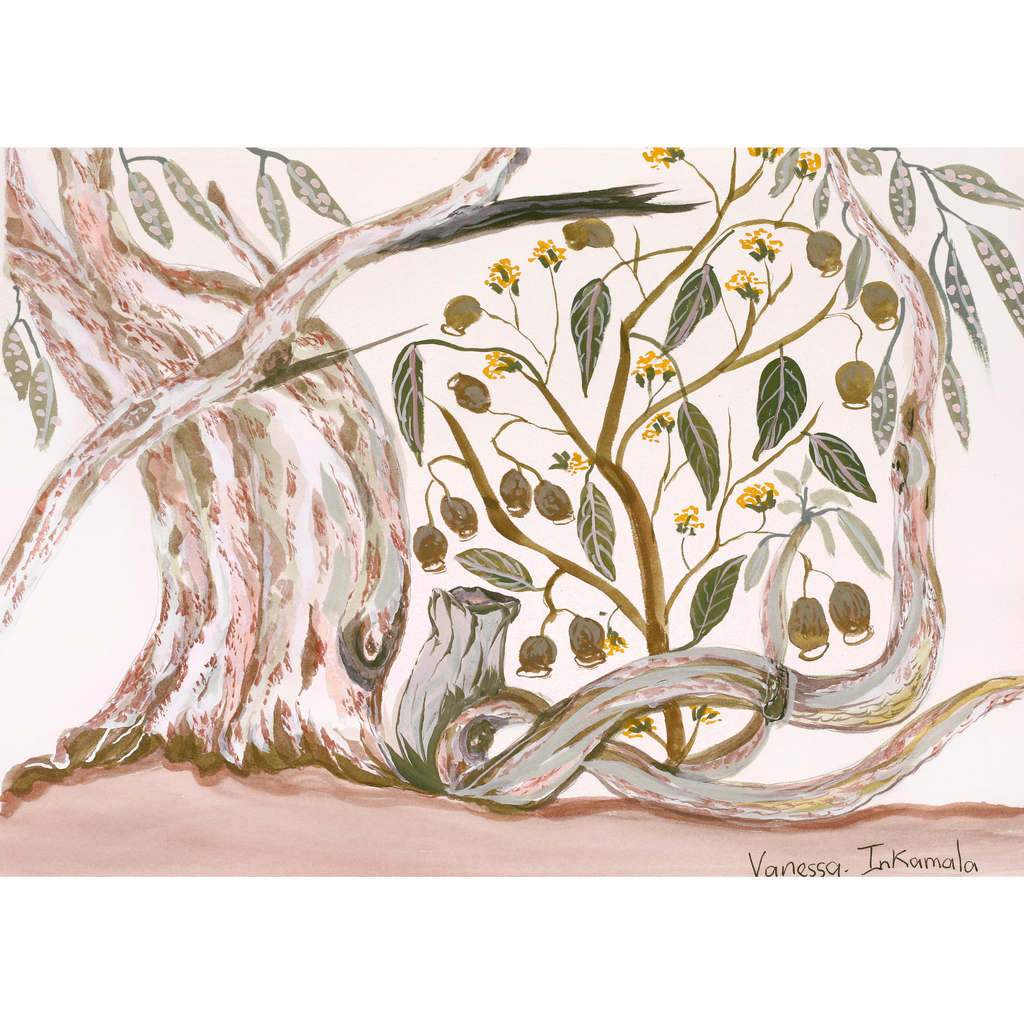 Aboriginal Art by Vanessa Inkamala, Gum nuts and Gum Tree, 36.6x26cm - ART ARK®