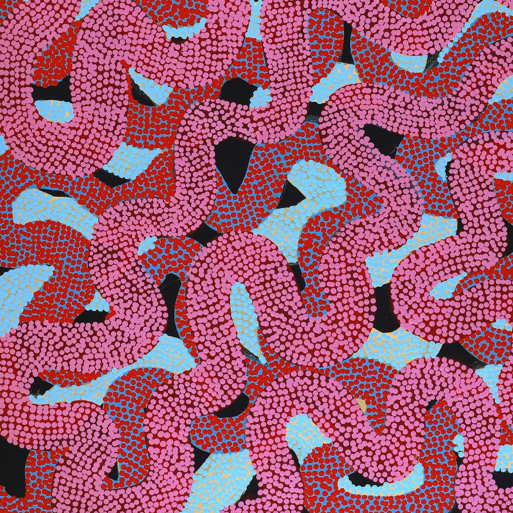 Aboriginal Artwork by Vanetta Nampijinpa Hudson, Warlukurlangu Jukurrpa (Fire country Dreaming), 107x61cm