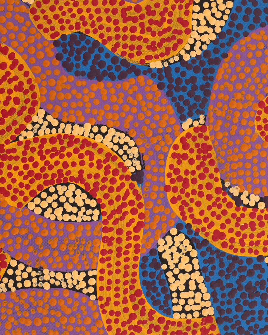 Aboriginal Artwork by Vanetta Nampijinpa Hudson, Warlukurlangu Jukurrpa (Fire country Dreaming), 122x46cm