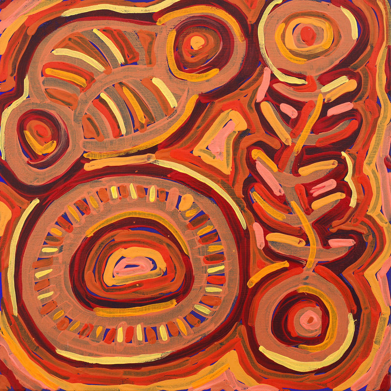 Aboriginal Artwork by Vanetta Nampijinpa Hudson, Malikijarra Jukurrpa (Two Dogs Dreaming), 30x30cm