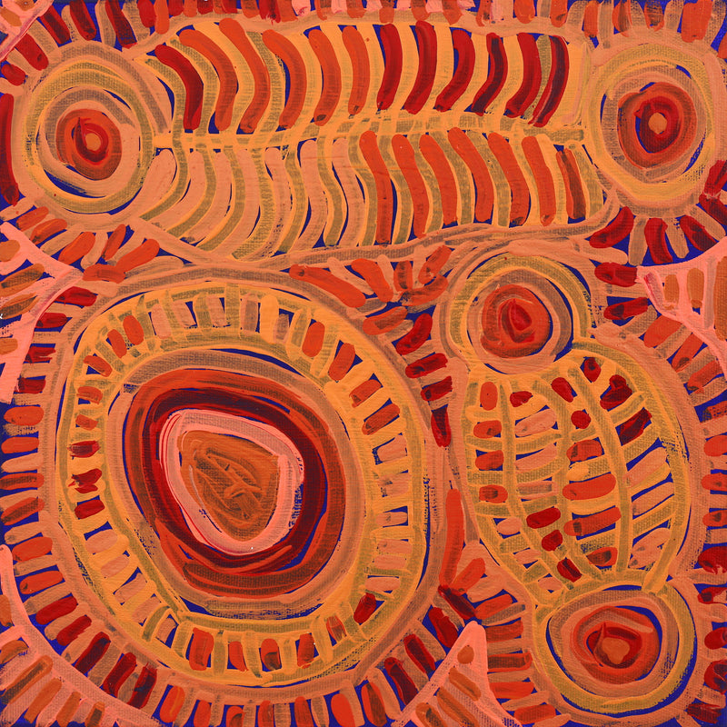 Aboriginal Artwork by Vanetta Nampijinpa Hudson, Malikijarra Jukurrpa (Two Dogs Dreaming), 30x30cm