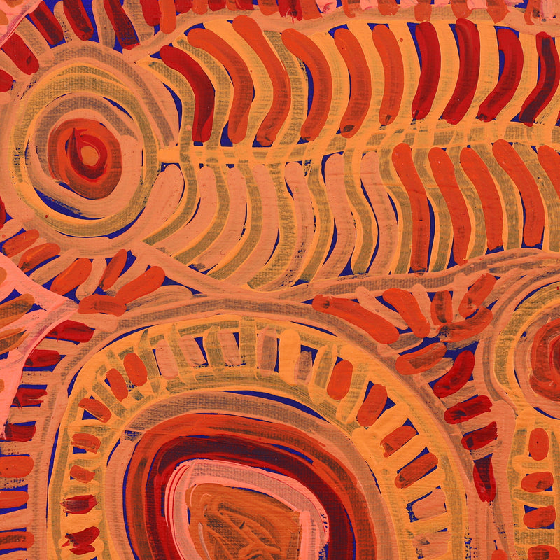 Aboriginal Artwork by Vanetta Nampijinpa Hudson, Malikijarra Jukurrpa (Two Dogs Dreaming), 30x30cm
