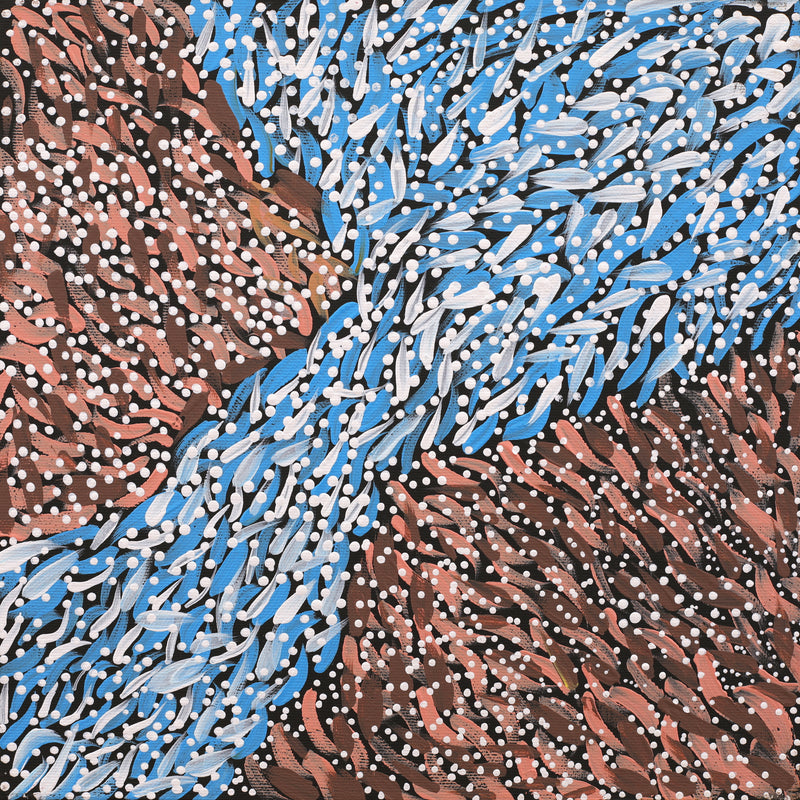 Aboriginal Artwork by Violet Napurrurla Malbunka, Warlukurlangu Jukurrpa (Fire country Dreaming), 30x30cm