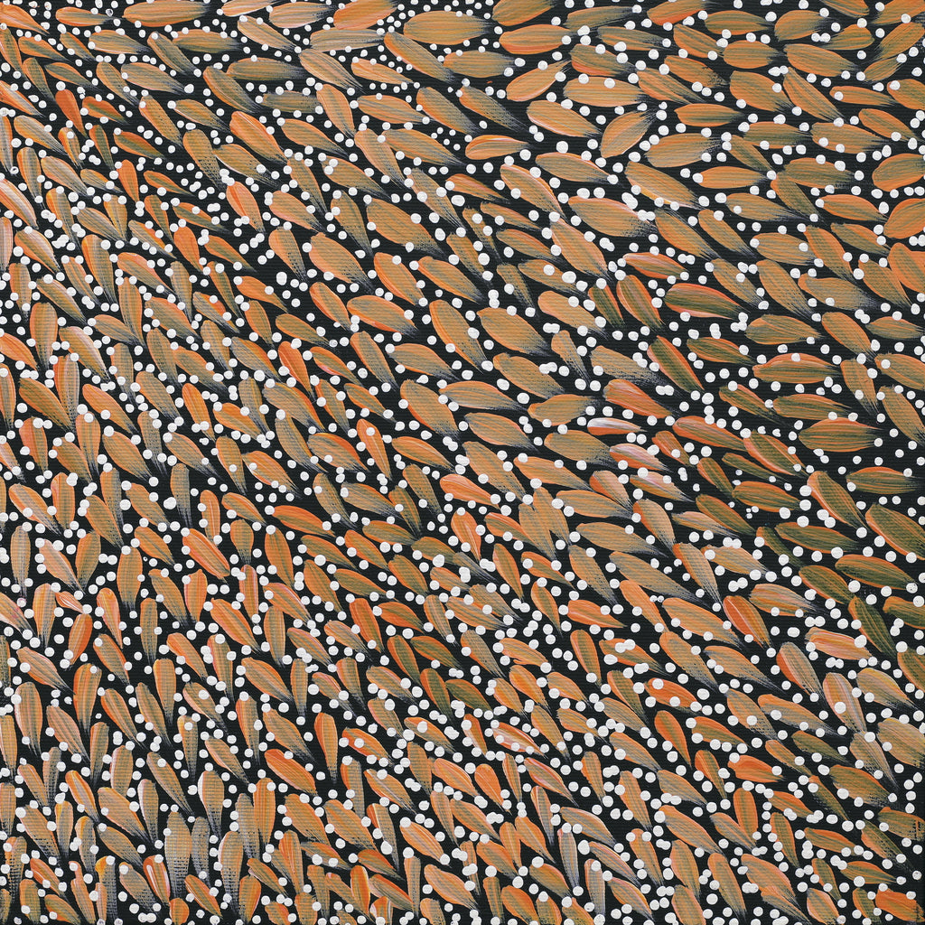 Aboriginal Artwork by Violet Napurrurla Malbunka, Warlukurlangu Jukurrpa (Fire country Dreaming), 30x30cm