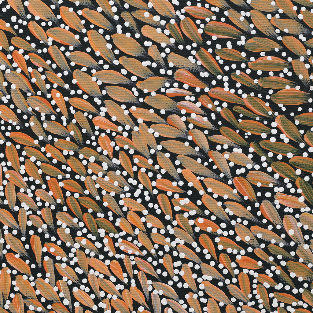 Aboriginal Artwork by Violet Napurrurla Malbunka, Warlukurlangu Jukurrpa (Fire country Dreaming), 30x30cm