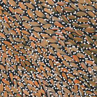 Aboriginal Artwork by Violet Napurrurla Malbunka, Warlukurlangu Jukurrpa (Fire country Dreaming), 30x30cm