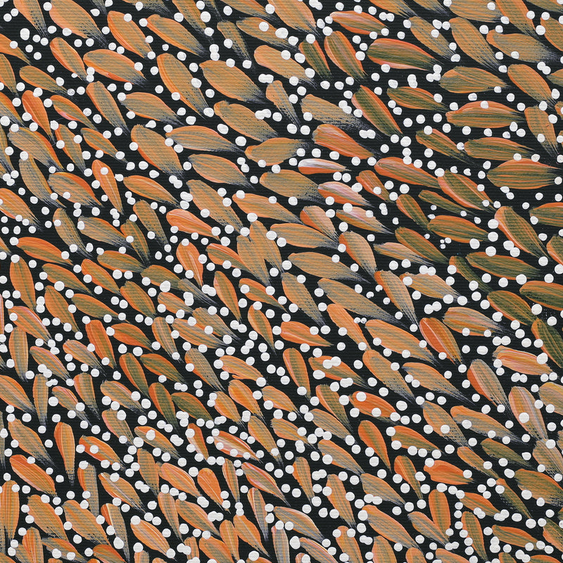 Aboriginal Artwork by Violet Napurrurla Malbunka, Warlukurlangu Jukurrpa (Fire country Dreaming), 30x30cm