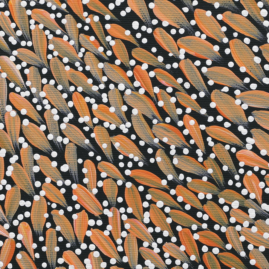 Aboriginal Artwork by Violet Napurrurla Malbunka, Warlukurlangu Jukurrpa (Fire country Dreaming), 30x30cm