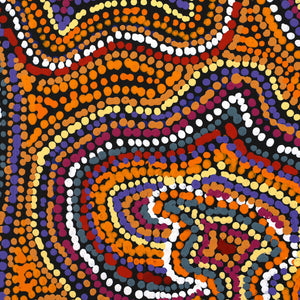 Aboriginal Art by Virginia Napaljarri Sims, Mina Mina Jukurrpa (Mina Mina Dreaming), 61x61cm - ART ARK®