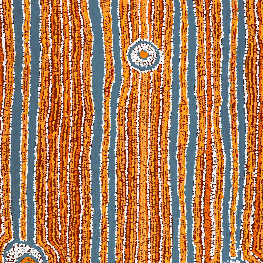 Aboriginal Artwork by Virginia Napaljarri Sims, Mina Mina Jukurrpa (Mina Mina Dreaming), 107x61cm - ART ARK®