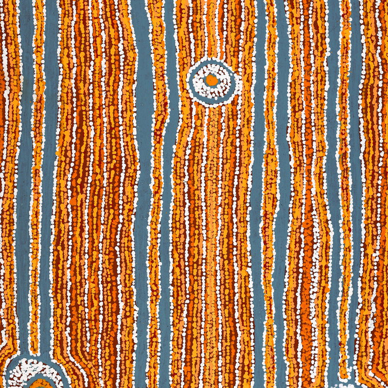 Aboriginal Art by Virginia Napaljarri Sims, Mina Mina Jukurrpa (Mina Mina Dreaming), 107x61cm - ART ARK®