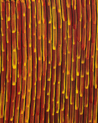 Aboriginal Artwork by Walter Jangala Brown, Tingari Cycle, 182x152cm