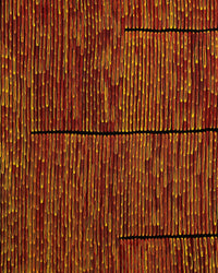 Aboriginal Artwork by Walter Jangala Brown, Tingari Cycle, 182x152cm