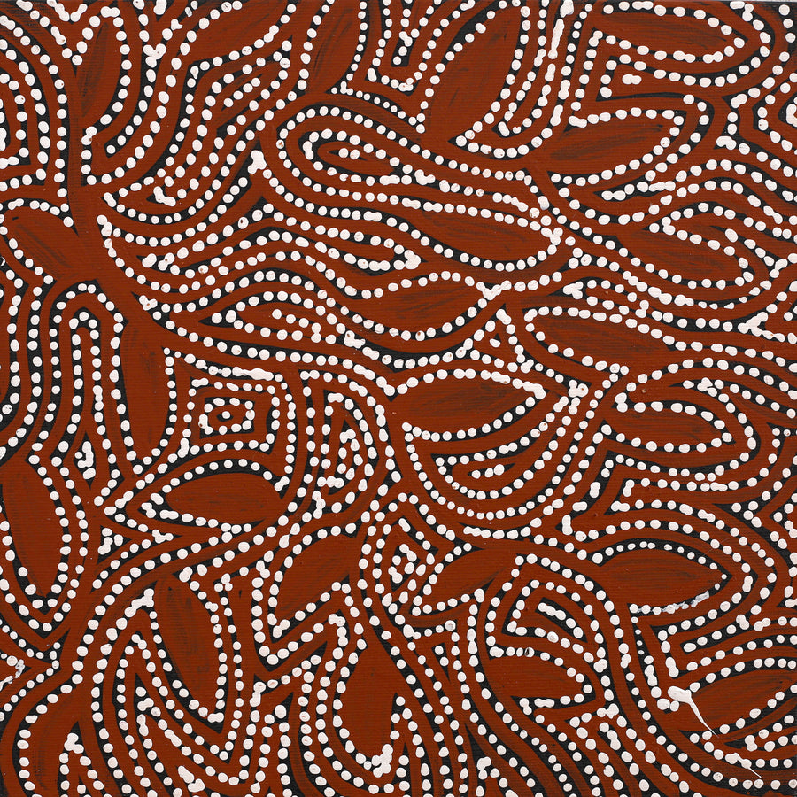 Aboriginal Artwork by Wendy Nungarrayi Brown, Purrpalanji (Skinny Bush Banana) Jukurrpa, 30x30cm