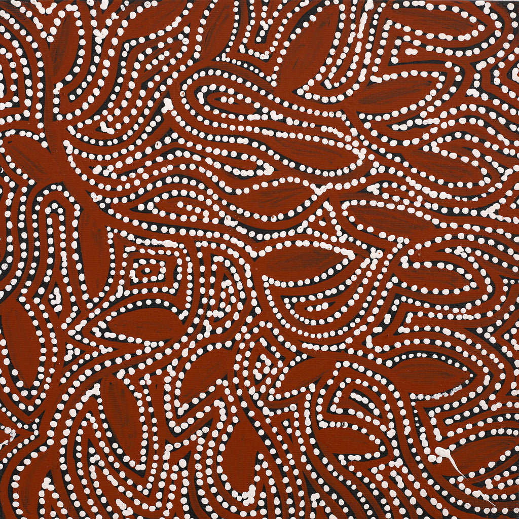 Aboriginal Art by Wendy Nungarrayi Brown, Purrpalanji (Skinny Bush Banana) Jukurrpa, 30x30cm - ART ARK®
