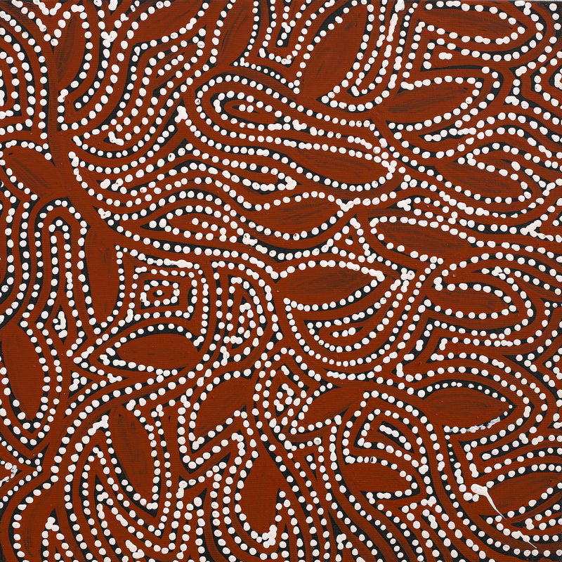 Aboriginal Artwork by Wendy Nungarrayi Brown, Purrpalanji (Skinny Bush Banana) Jukurrpa, 30x30cm