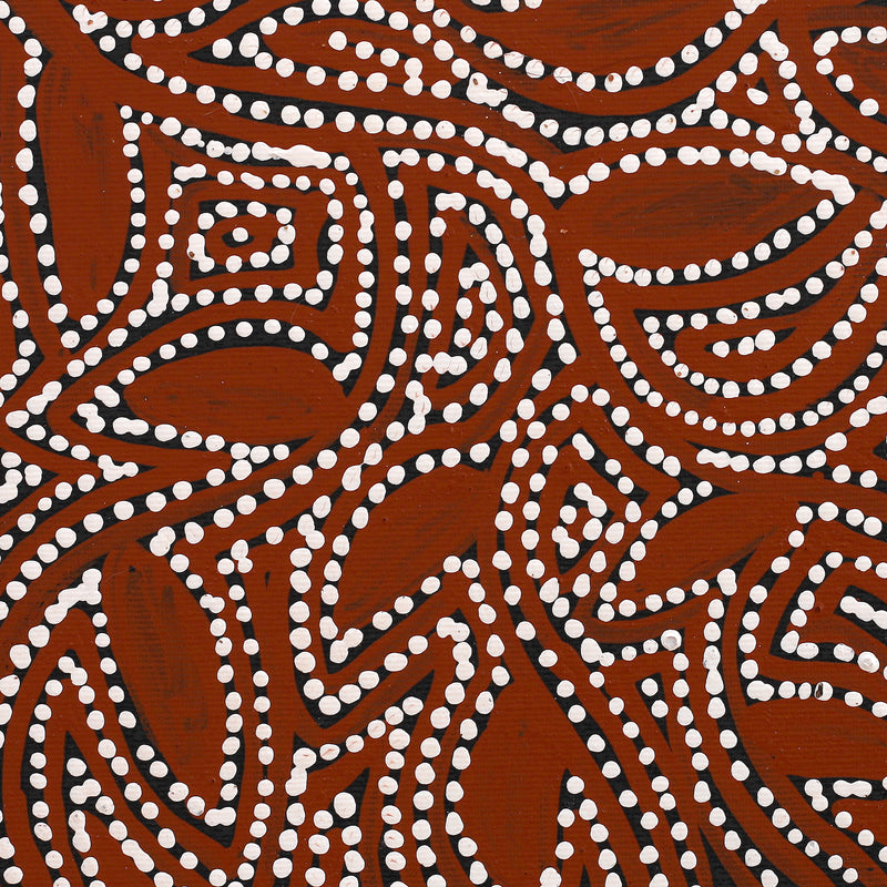 Aboriginal Artwork by Wendy Nungarrayi Brown, Purrpalanji (Skinny Bush Banana) Jukurrpa, 30x30cm