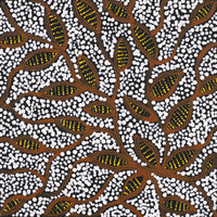 Aboriginal Artwork by Wendy Nungarrayi Brown, Purrpalanji (Skinny Bush Banana) Jukurrpa, 30x30cm