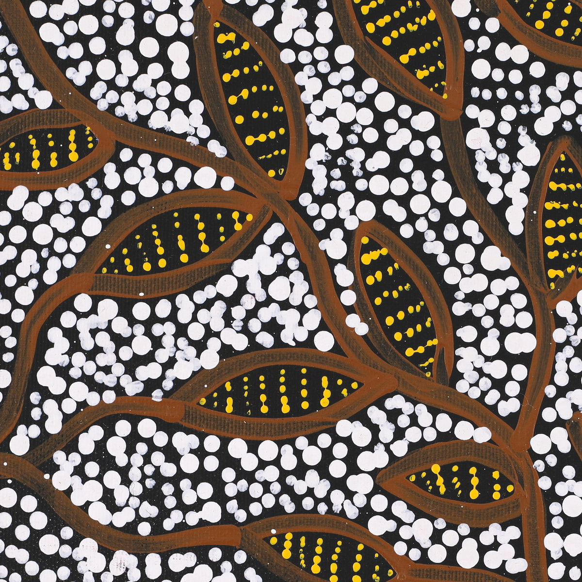 Aboriginal Artwork by Wendy Nungarrayi Brown, Purrpalanji (Skinny Bush Banana) Jukurrpa, 30x30cm