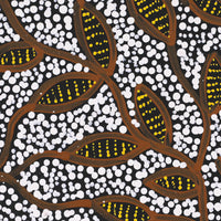Aboriginal Artwork by Wendy Nungarrayi Brown, Purrpalanji (Skinny Bush Banana) Jukurrpa, 30x30cm