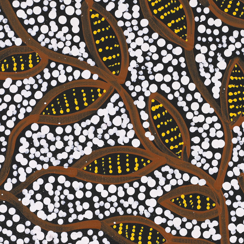 Aboriginal Artwork by Wendy Nungarrayi Brown, Purrpalanji (Skinny Bush Banana) Jukurrpa, 30x30cm