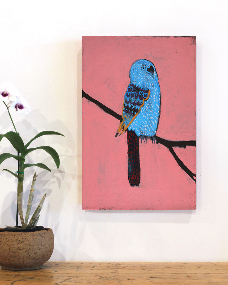 Aboriginal Artwork by Wilma Napangardi Poulson, Birds that live around Yuendumu, 46x30cm